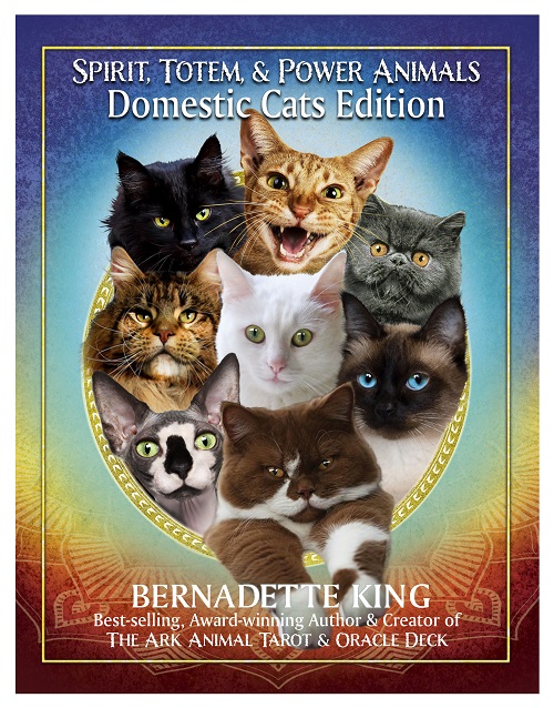 Cats-E-book-Cover3 SM.jpg