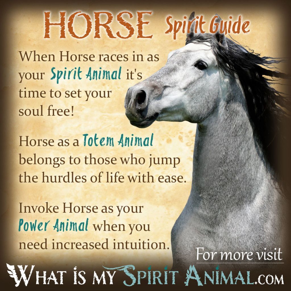 Horse Spirit Totem Power Animal Symbolism Meaning 1200x1200 1024x1024 