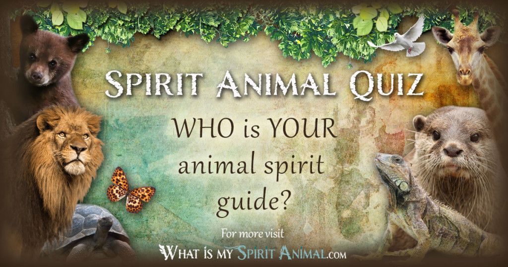 spirit animal guide gazelle whatsyoursign