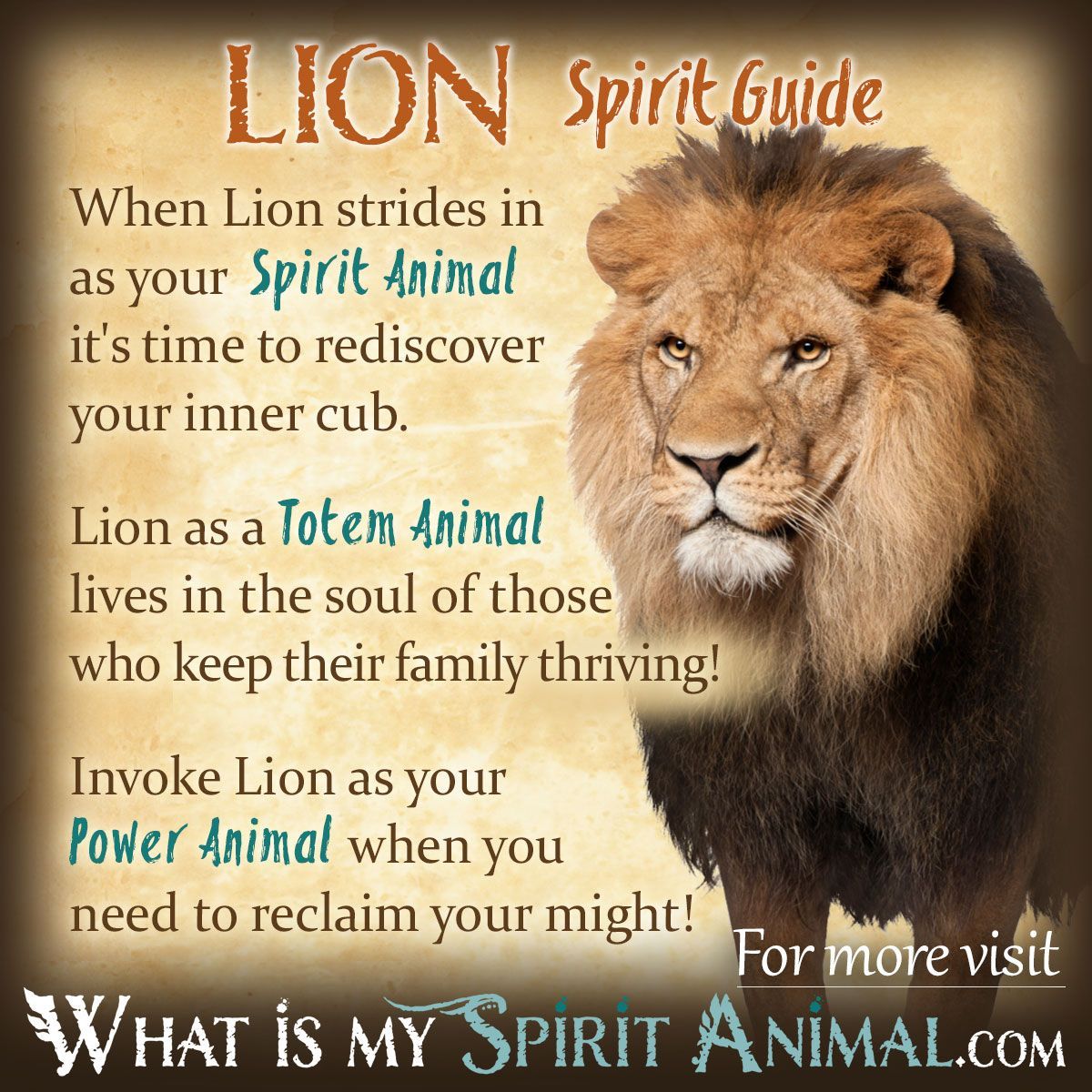 lion-symbolism-meaning-spirit-totem-power-animal