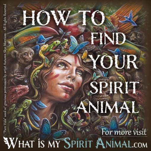How to Find Your Spirit Animal - The Complete Guide