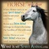 Horse Spirit Totem Power Animal Symbolism Meaning 1200x1200 100x100 