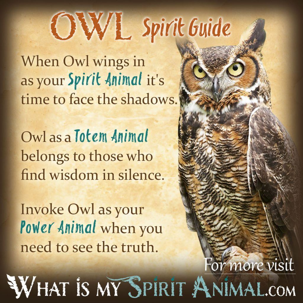Owl Spirit Totem Power Animal Symbolism Meaning 1200x1200 1024x1024 