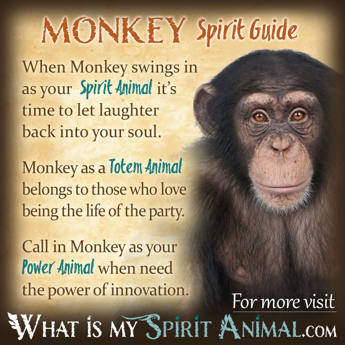 Monkey Spirit Totem Power Animal Symbolism Meaning 1200x1200 ?x20483