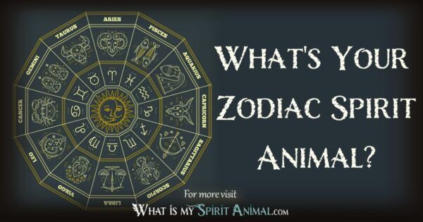 the zodiac signs spirit animals