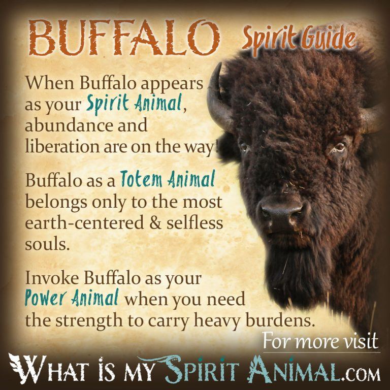 Buffalo Simbolismo e significato / Spirito, Totem e potere Animale Lima