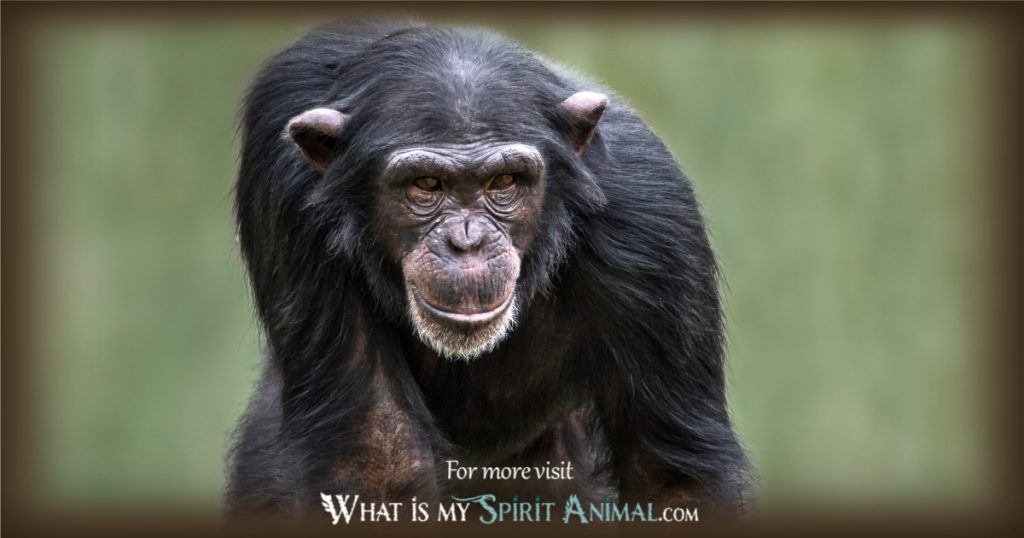chimpanzee face on totem pole
