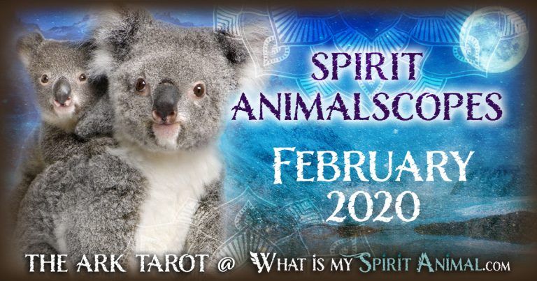 Spirit Animalscopes Feb 2020 1200x630 768x403 