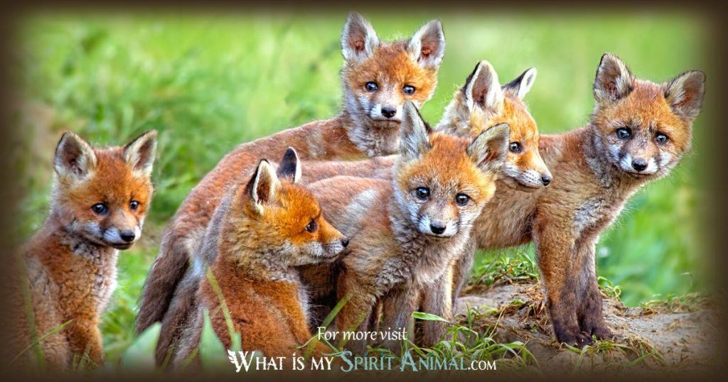 Fox Symbolism &Amp; Meaning | Spirit, Totem &Amp; Power Animal
