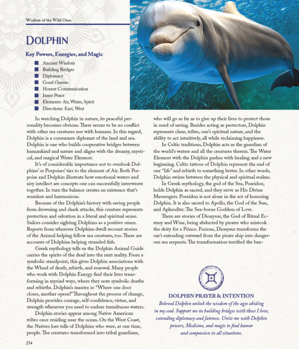 Dolphin Spiritr Animal Meanings 974x1135