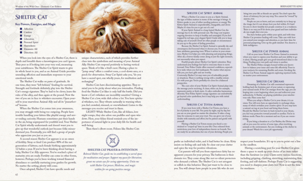 Orange Tabby Cat Spirit Animal Book 1166x698