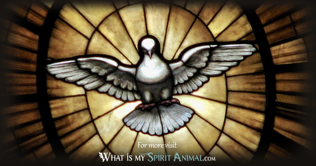 Spiritual Meaning of the Dove 1200x630