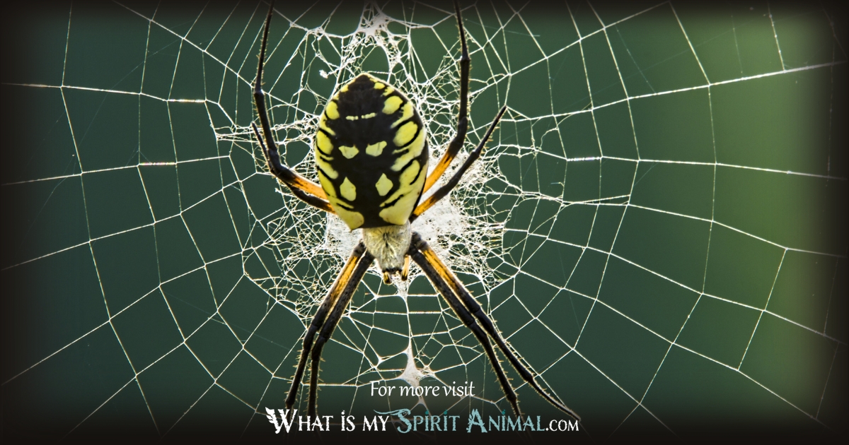 Spider Celtic Symbolism 1200x630